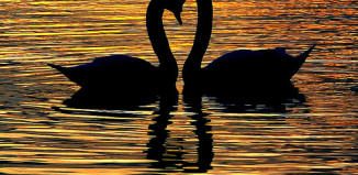 как привлечь любовь